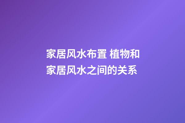 家居风水布置 植物和家居风水之间的关系